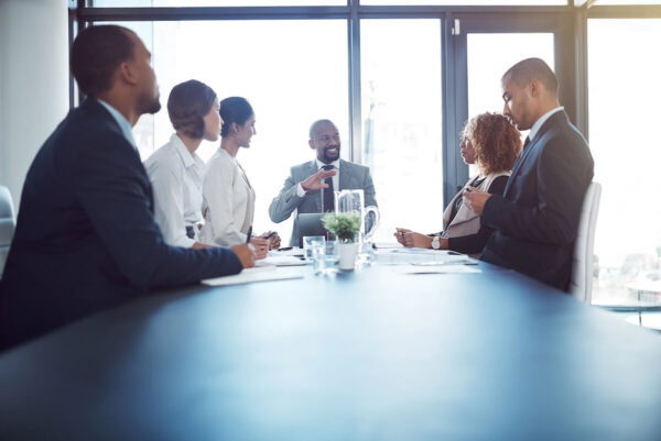 Director Implementation Applied Directorship Programme - Noesis Strategic Institute